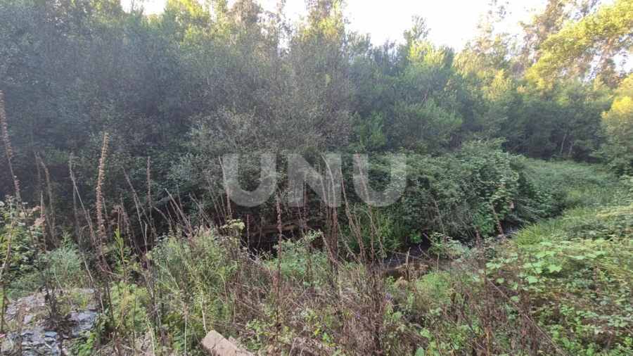 Terreno Misto para Venda em Ovar, São João, Arada e São Vicente de Pereira Jusã Foto 10