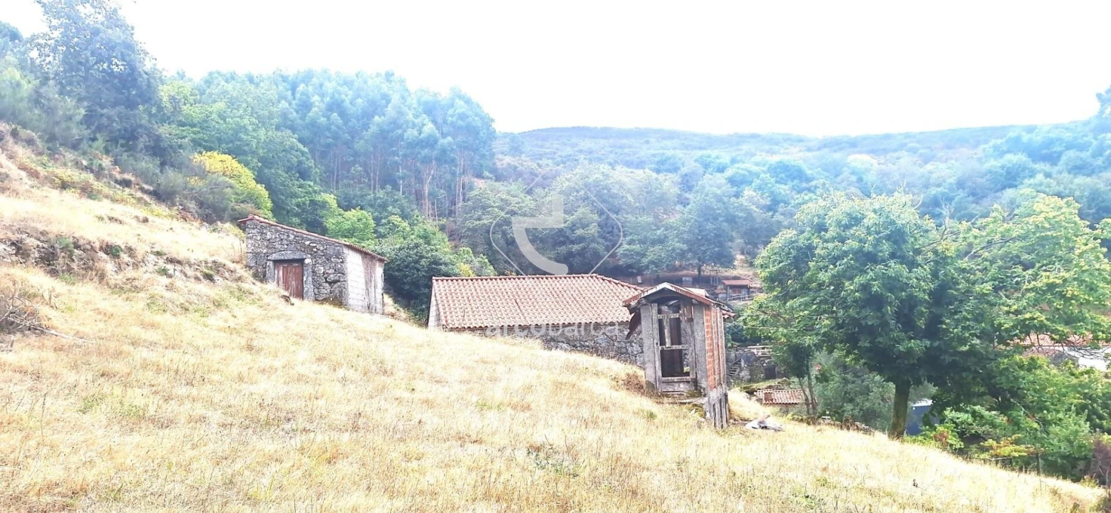 Moradia T2 para Venda em Labrujó, Rendufe e Vilar do Monte Foto 18