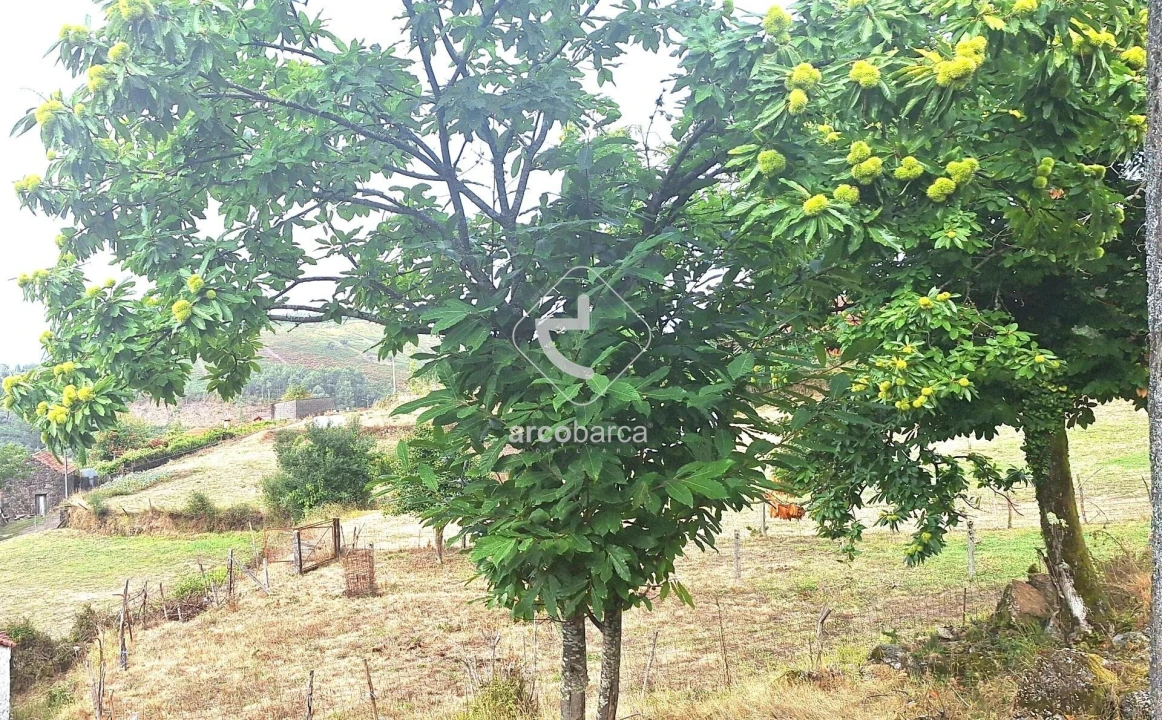 Moradia T2 para Venda em Labrujó, Rendufe e Vilar do Monte Foto 4