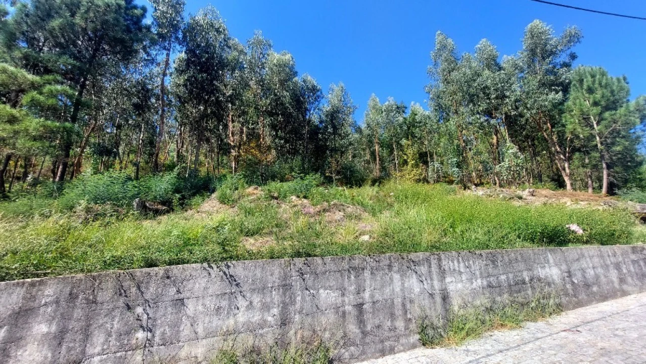 Terreno para Venda em Dornelas Foto 2