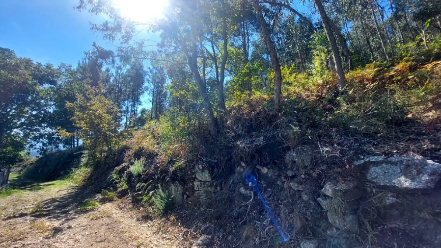 Terreno para Venda em Dornelas Foto 3