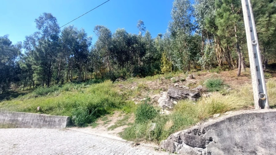 Terreno para Venda em Dornelas Foto 1