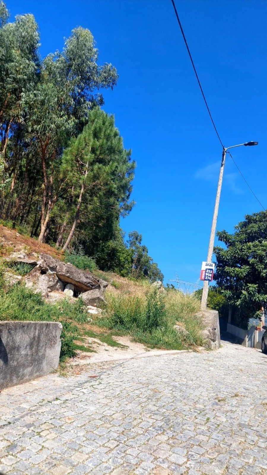 Terreno para Venda em Dornelas Foto 6