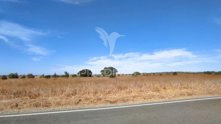 Terreno para Venda em Santa Vitória e Mombeja Foto 4