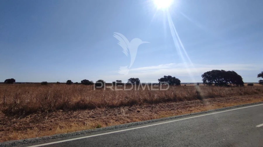 Terreno para Venda em Santa Vitória e Mombeja Foto 7