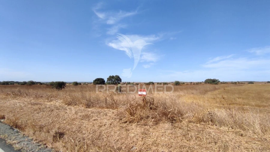 Terreno para Venda em Santa Vitória e Mombeja Foto 10