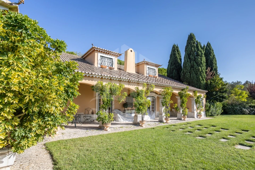 Quinta T4 para Venda em Azeitão (São Lourenço e São Simão) Foto 38