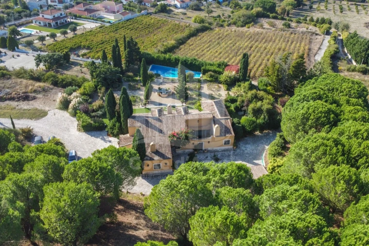 Quinta T4 para Venda em Azeitão (São Lourenço e São Simão) Foto 1