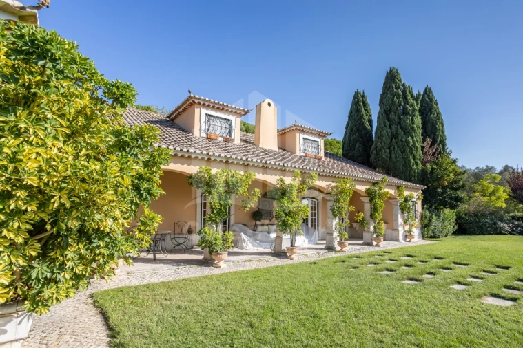 Quinta T4 para Venda em Azeitão (São Lourenço e São Simão) Foto 38