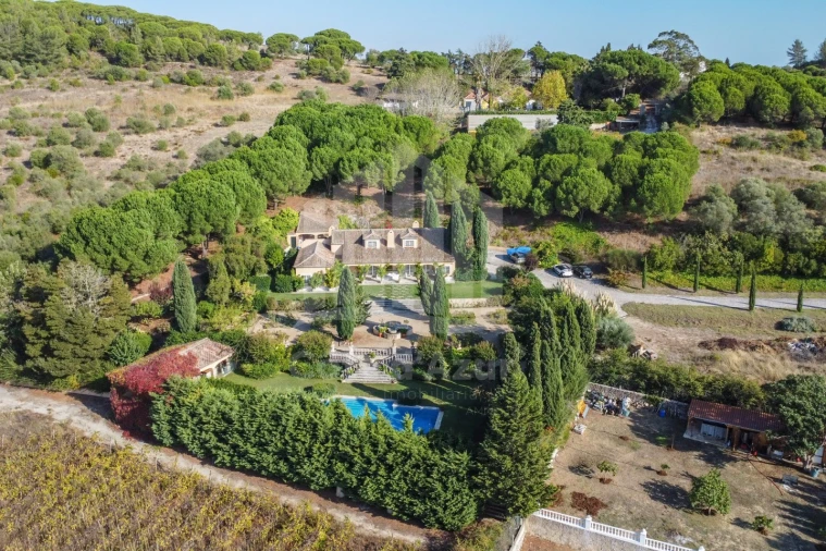 Quinta T4 para Venda em Azeitão (São Lourenço e São Simão) Foto 53