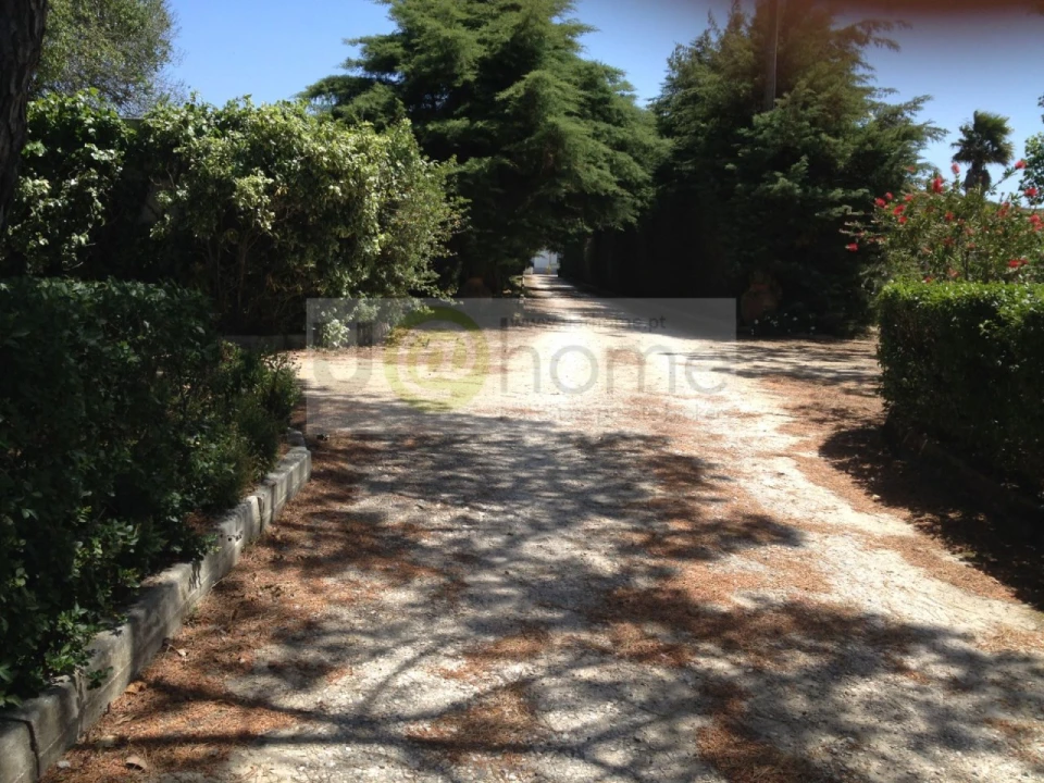 Quinta T11 para Venda em São João das Lampas e Terrugem Foto 10