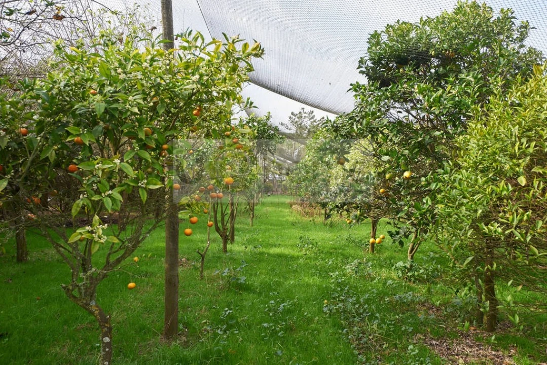 Quinta T11 para Venda em São João das Lampas e Terrugem Foto 12