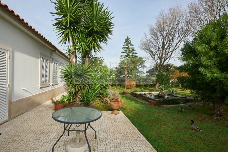 Quinta T11 para Venda em São João das Lampas e Terrugem Foto 5