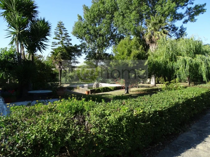 Quinta T11 para Venda em São João das Lampas e Terrugem Foto 7