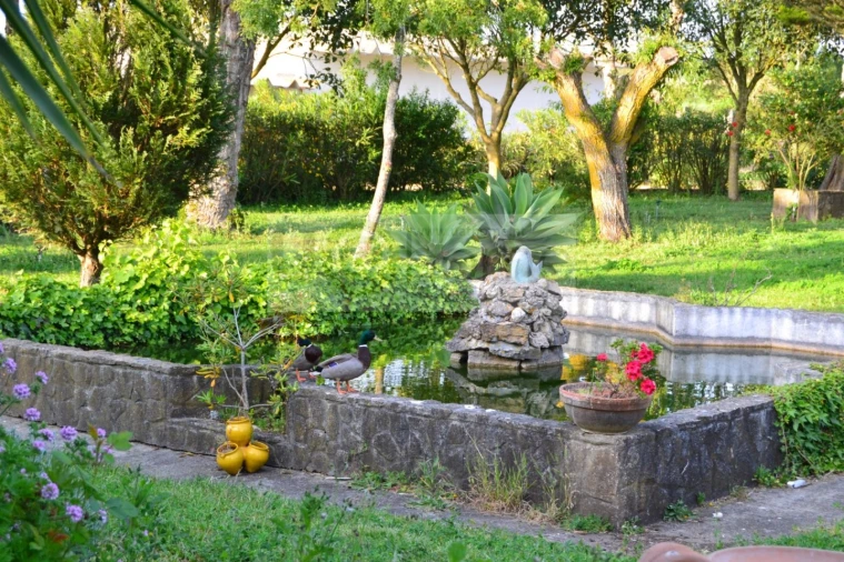 Quinta T11 para Venda em São João das Lampas e Terrugem Foto 8