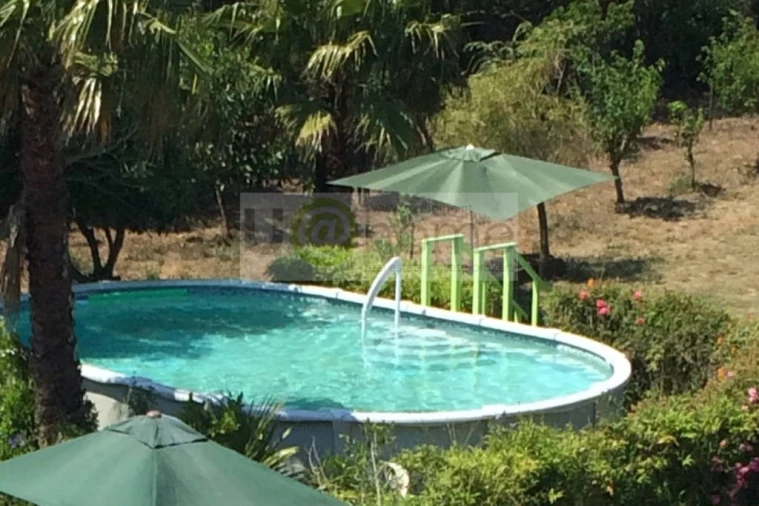 Quinta T11 para Venda em São João das Lampas e Terrugem Foto 11