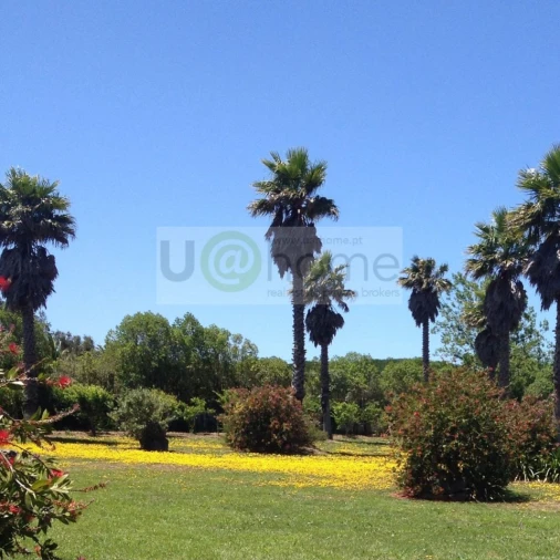 Quinta T11 para Venda em São João das Lampas e Terrugem Foto 25