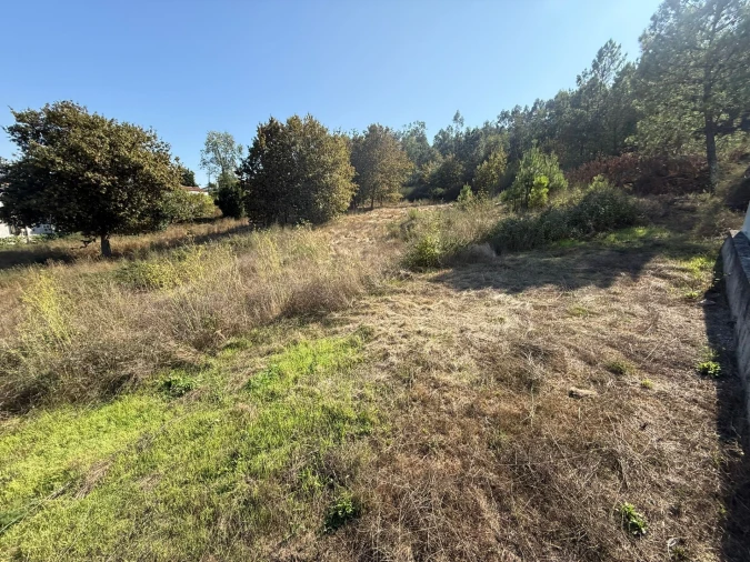 Terreno para Venda em Silvares Foto 3