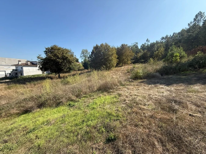 Terreno para Venda em Silvares Foto 4