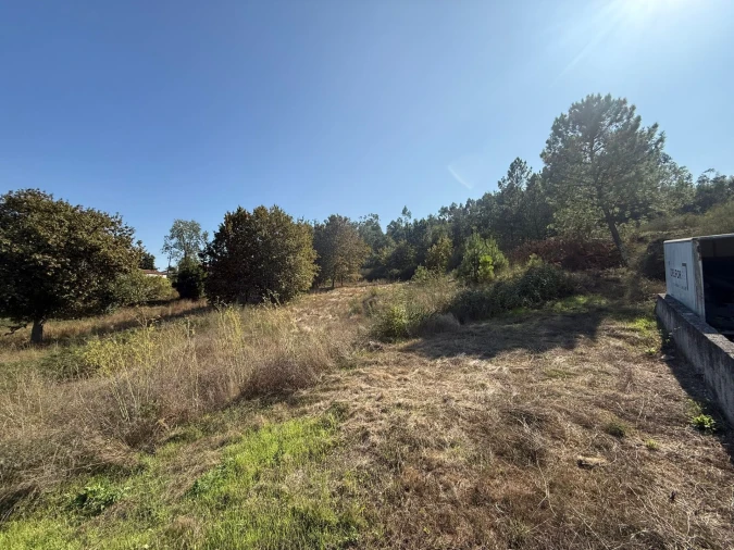 Terreno para Venda em Silvares Foto 2