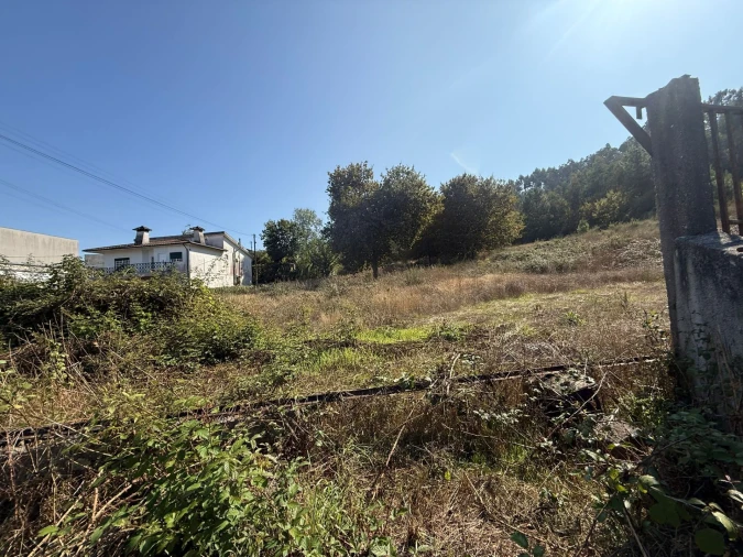 Terreno para Venda em Silvares Foto 5