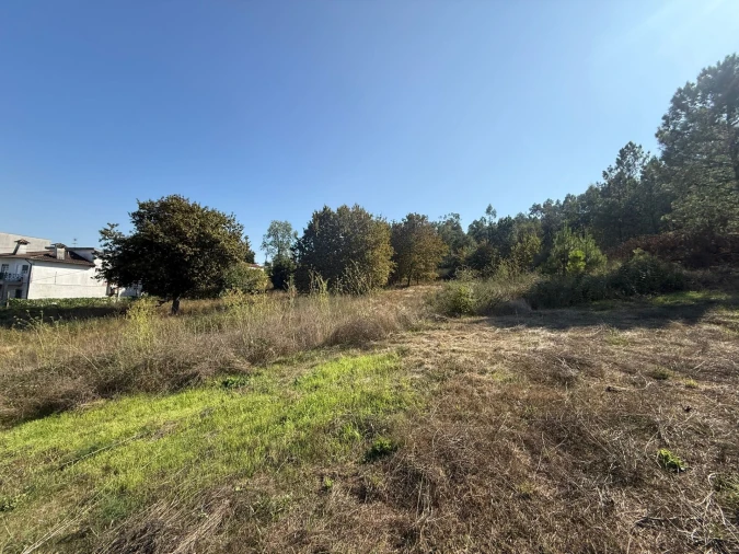 Terreno para Venda em Silvares Foto 12