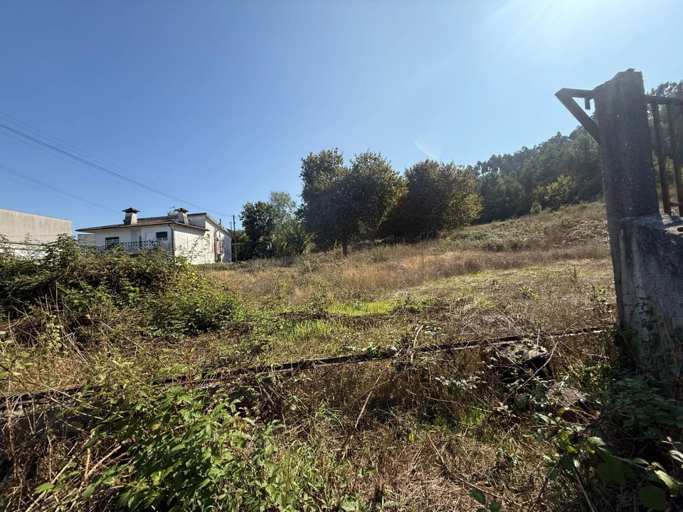 Terreno para Venda em Silvares Foto 5