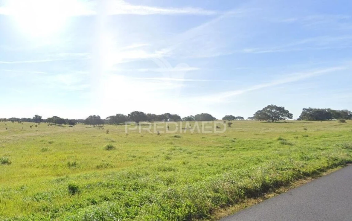 Quinta para Venda em Santa Vitória e Mombeja Foto 4