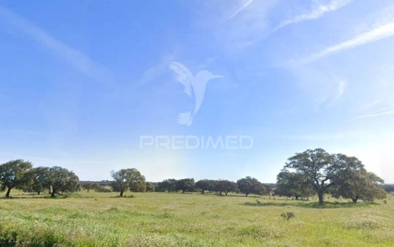 Quinta para Venda em Santa Vitória e Mombeja Foto 2