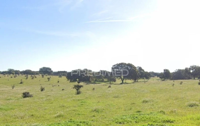 Quinta para Venda em Santa Vitória e Mombeja Foto 3