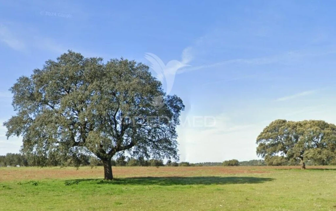 Quinta para Venda em Santa Vitória e Mombeja Foto 1