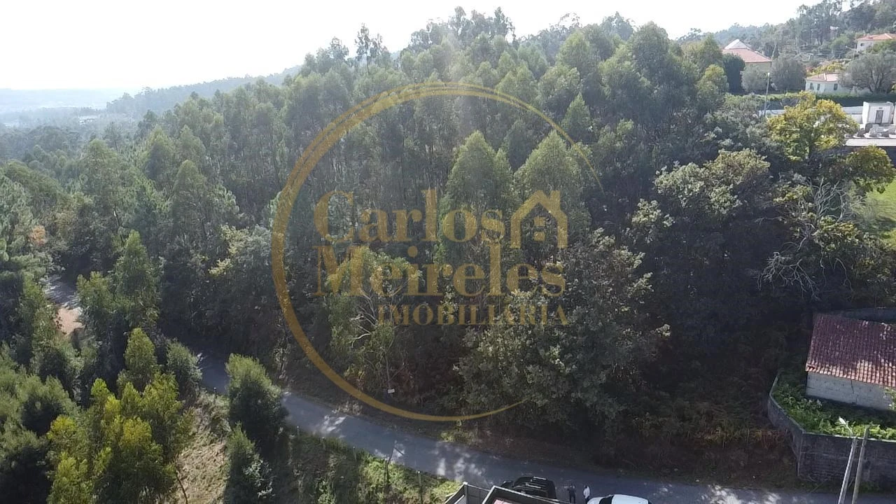 Terreno Misto para Venda em Ribeira do Neiva Foto 1