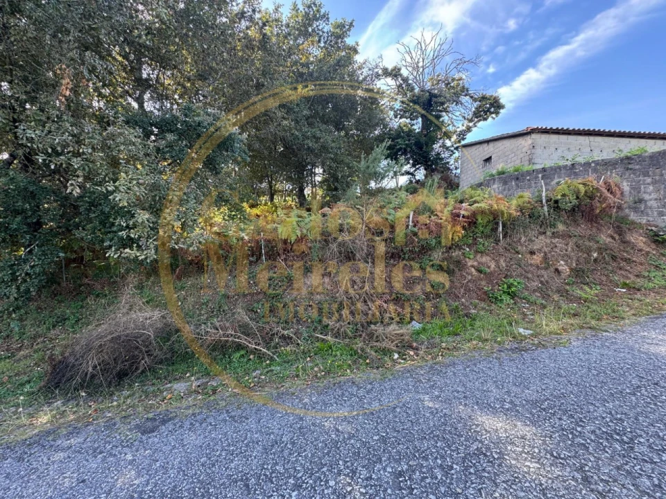Terreno Misto para Venda em Ribeira do Neiva Foto 8