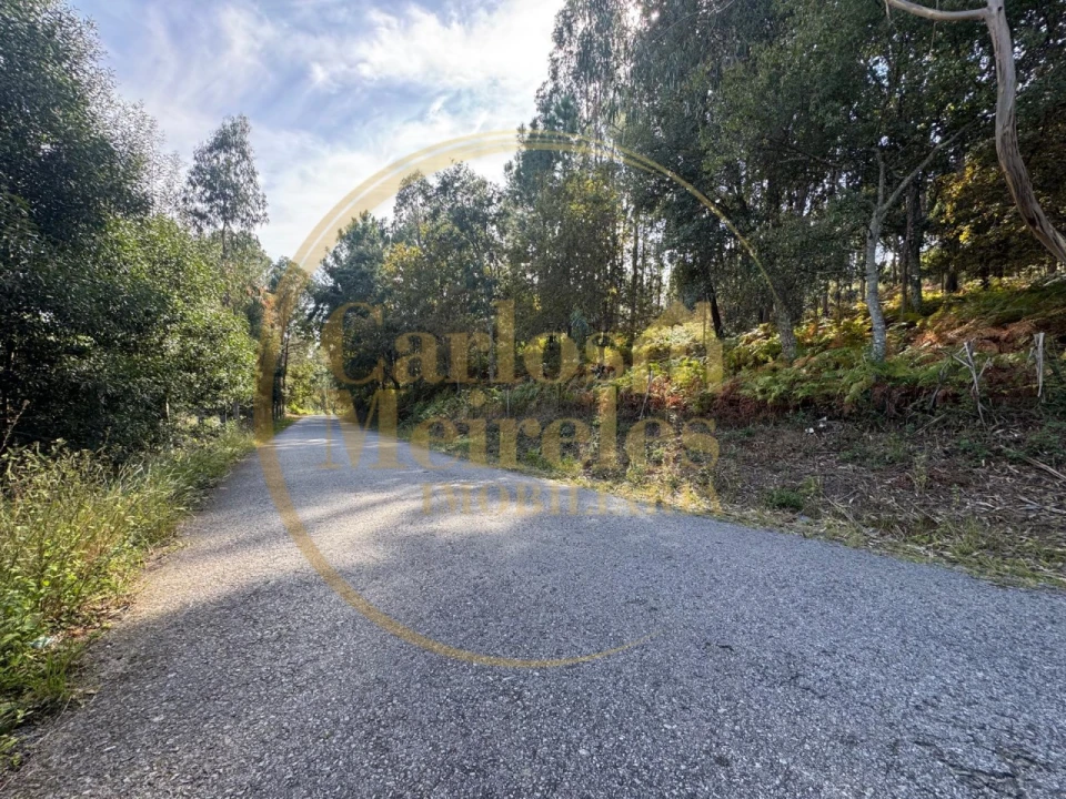Terreno Misto para Venda em Ribeira do Neiva Foto 9