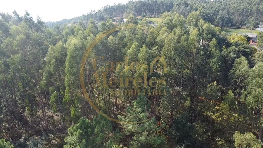 Terreno Misto para Venda em Ribeira do Neiva Foto 5