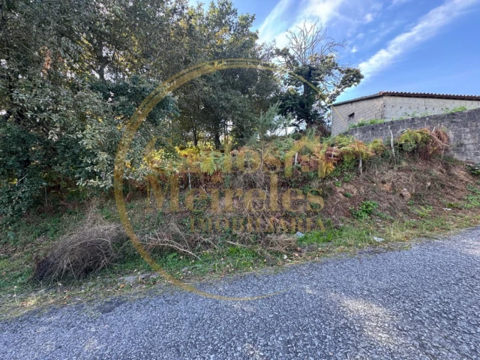 Terreno Misto para Venda em Ribeira do Neiva Foto 8