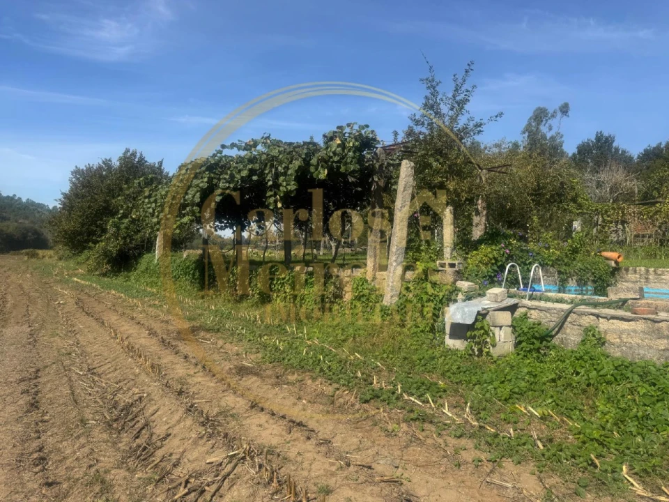 Quinta T3 para Venda em Ribeira do Neiva Foto 13