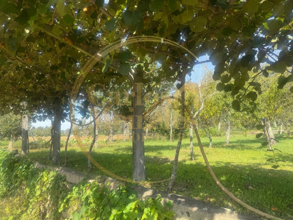 Quinta T3 para Venda em Ribeira do Neiva Foto 14