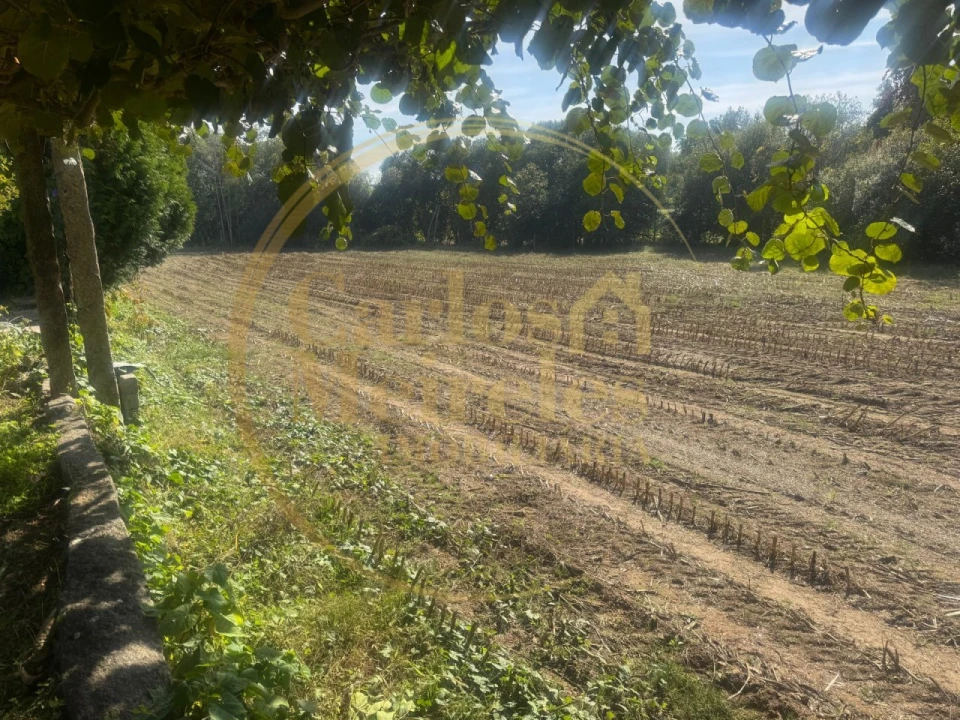 Quinta T3 para Venda em Ribeira do Neiva Foto 17