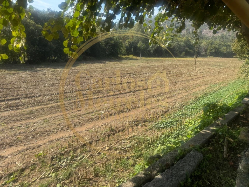 Quinta T3 para Venda em Ribeira do Neiva Foto 19