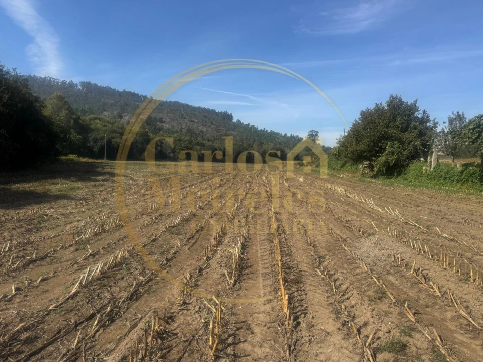 Quinta T3 para Venda em Ribeira do Neiva Foto 35