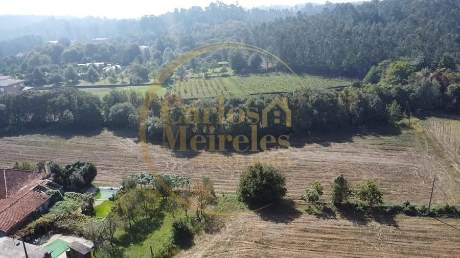 Quinta T3 para Venda em Ribeira do Neiva Foto 2