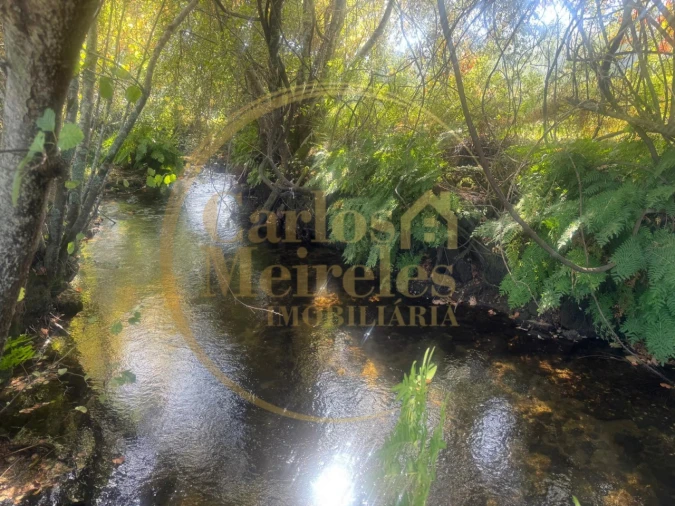 Quinta T3 para Venda em Ribeira do Neiva Foto 8