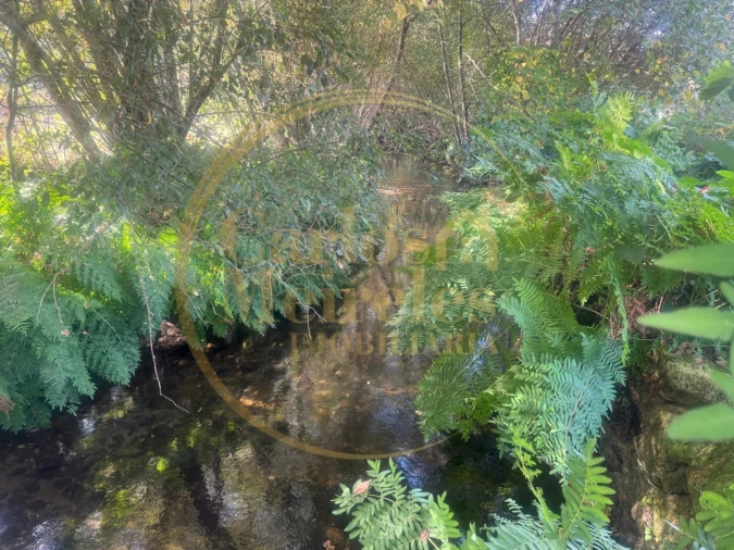 Quinta T3 para Venda em Ribeira do Neiva Foto 9