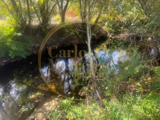 Quinta T3 para Venda em Ribeira do Neiva Foto 10