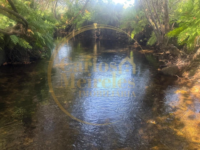 Quinta T3 para Venda em Ribeira do Neiva Foto 12