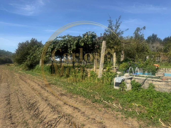 Quinta T3 para Venda em Ribeira do Neiva Foto 13