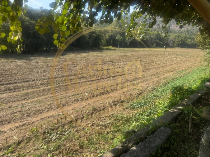 Quinta T3 para Venda em Ribeira do Neiva Foto 19
