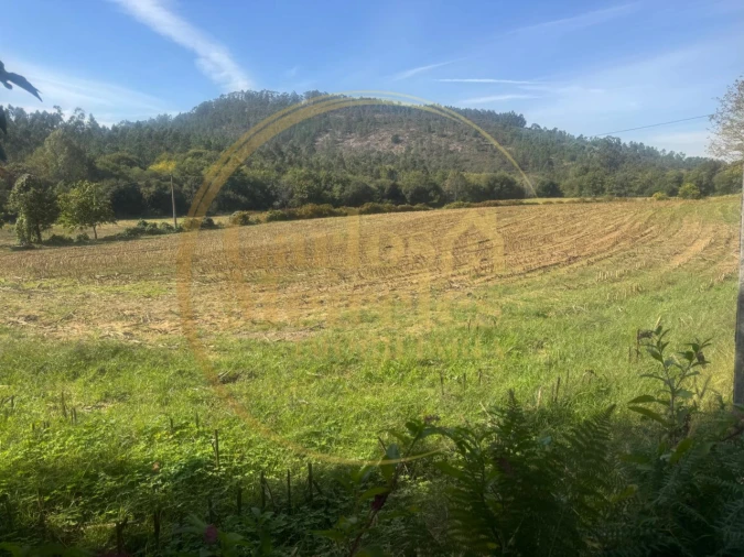 Quinta T3 para Venda em Ribeira do Neiva Foto 25