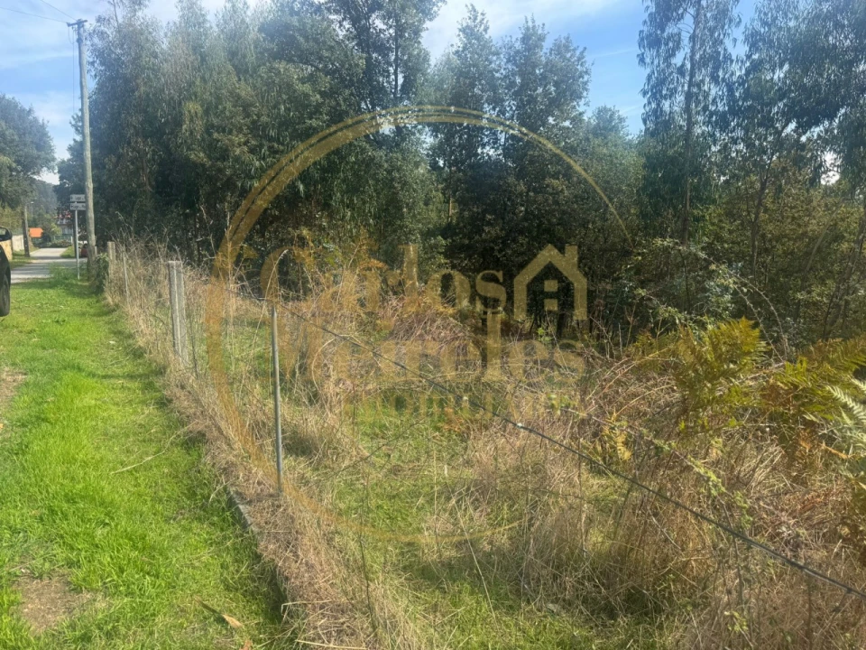 Terreno para Venda em Ribeira do Neiva Foto 8